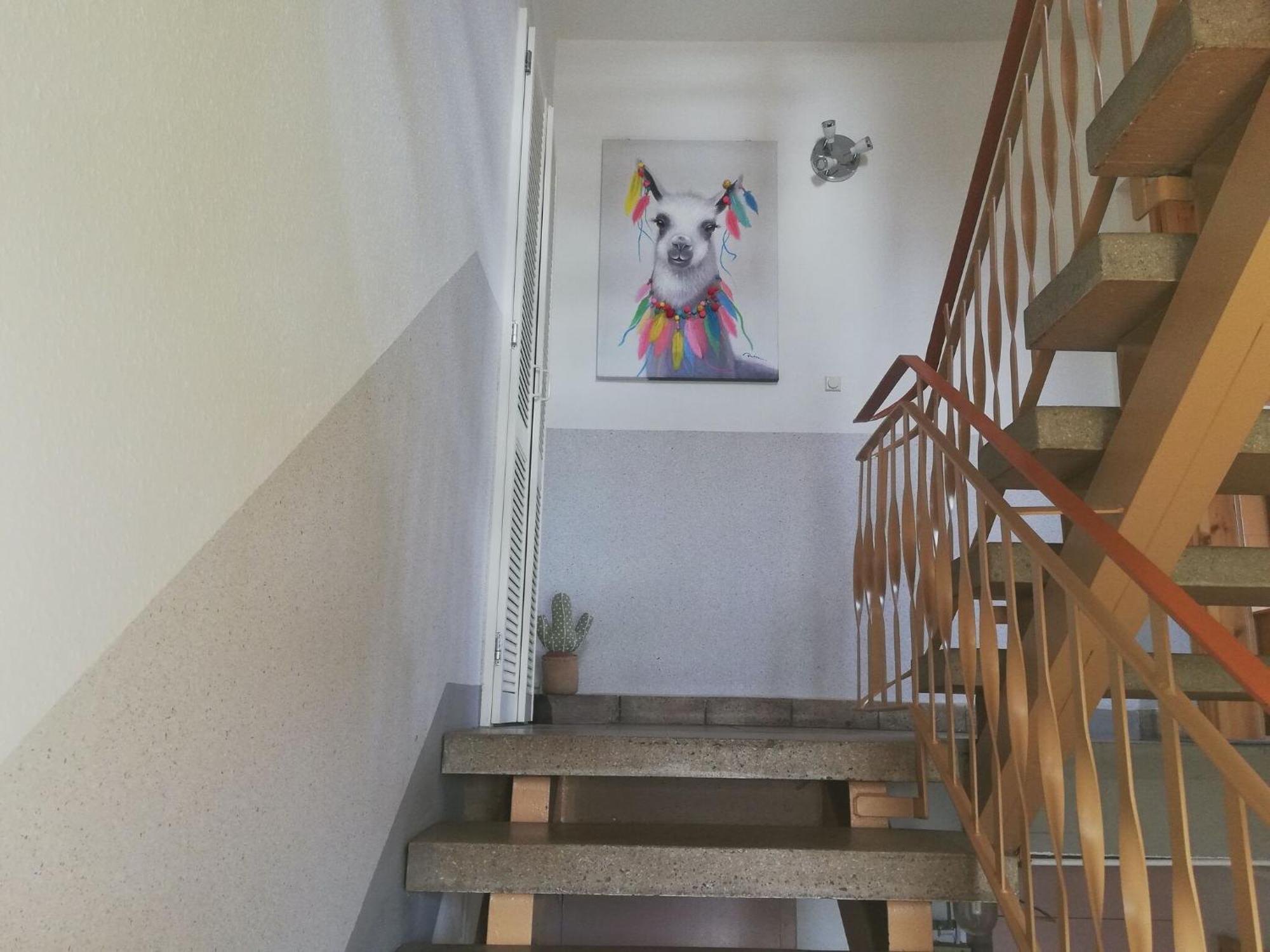 Apartment With Panoramic View Brotterode Bagian luar foto